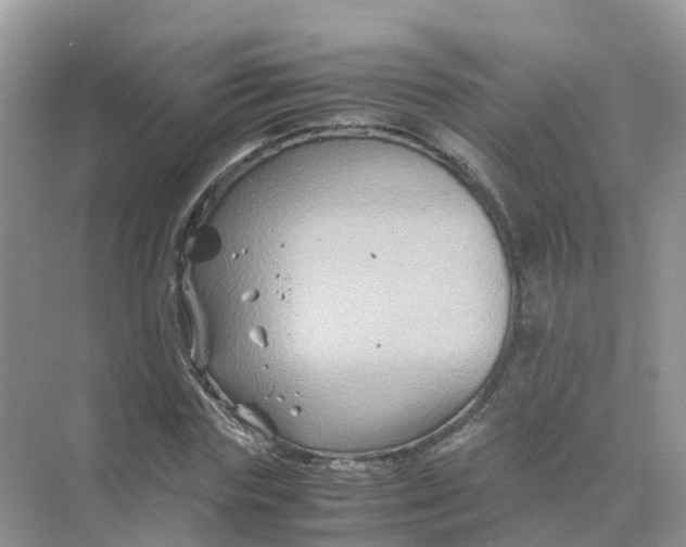 X0000070170827200606162053