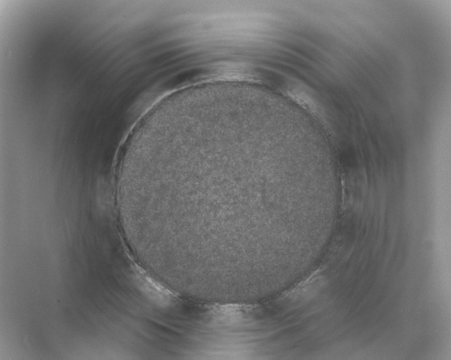 X0000070170828200606162053