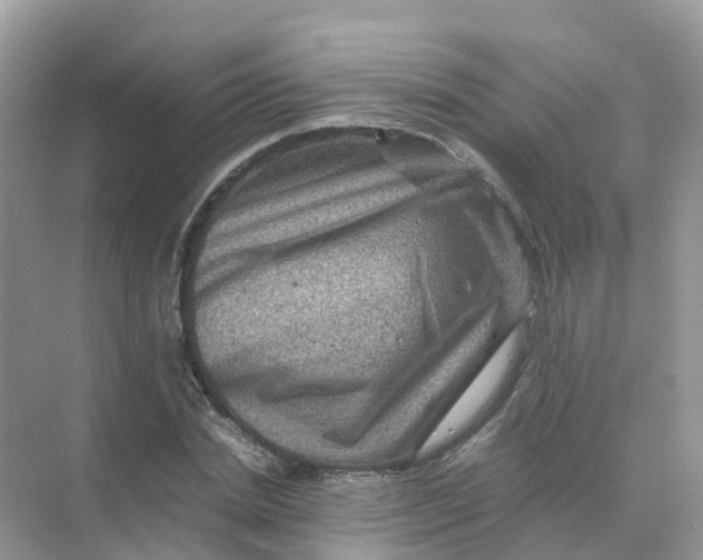 X0000070170830200606162054