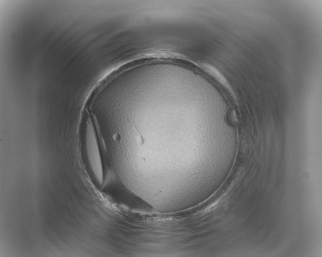 X0000070170831200606162054