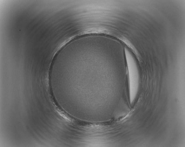 X0000070170834200606162054