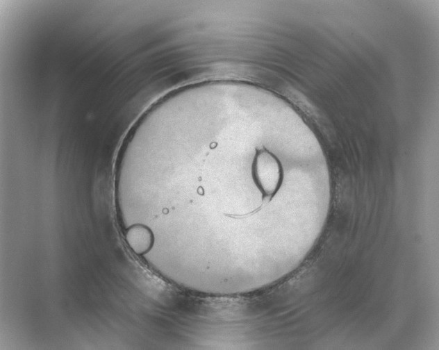 X0000070170836200606162054