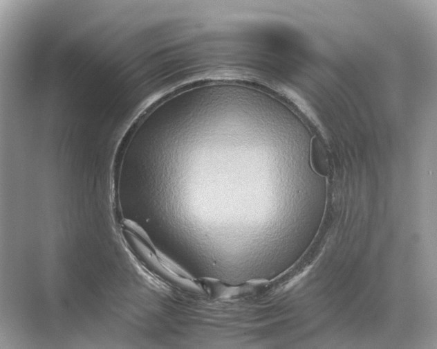 X0000070170837200606162054