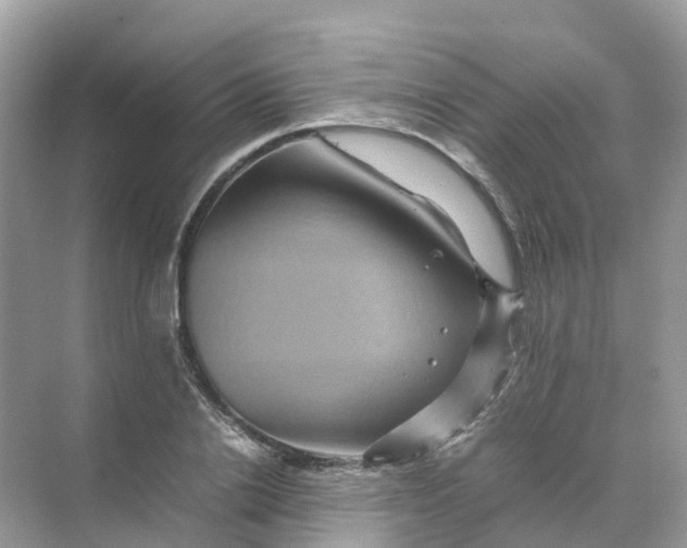 X0000070170838200606162054