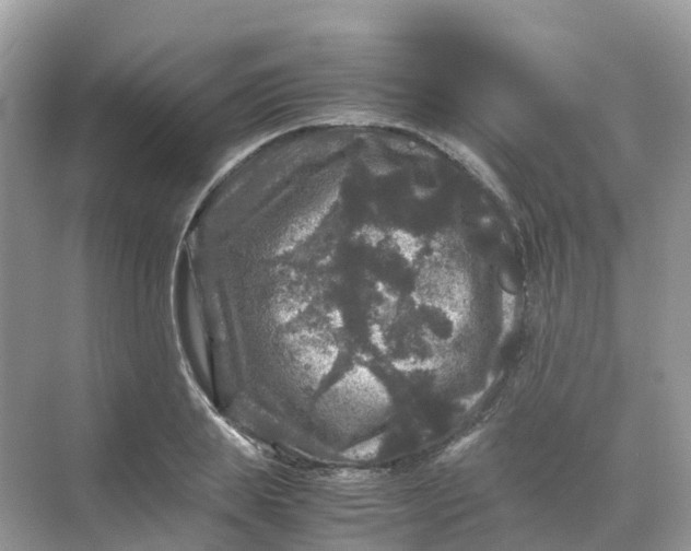 X0000070170839200606162054