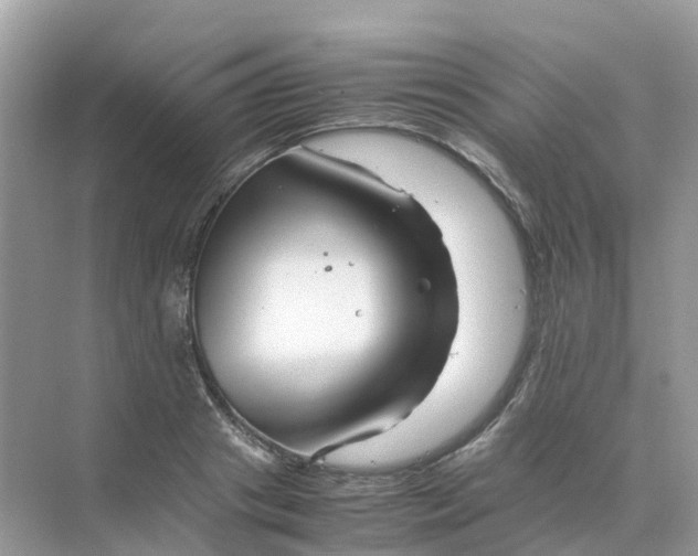 X0000070170841200606162054