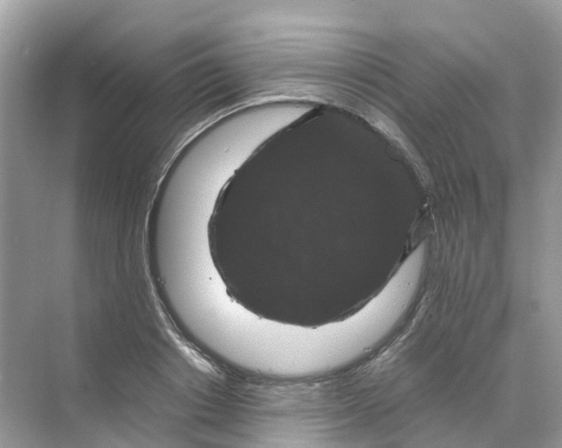 X0000070170842200606162054