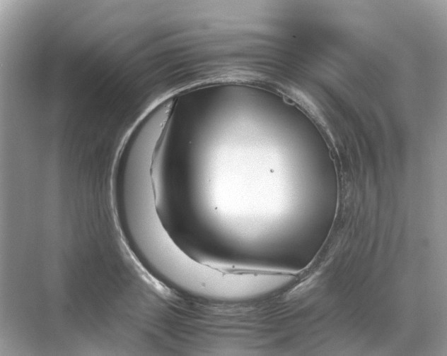 X0000070170843200606162054