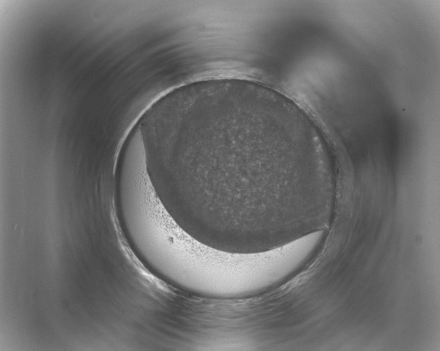 X0000070170844200606162054