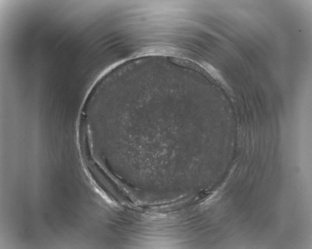 X0000070170846200606162054