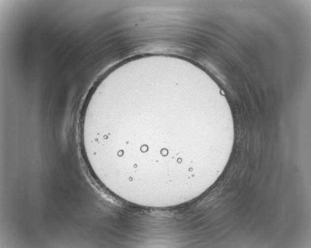 X0000070170848200606162054