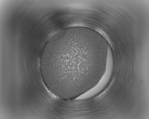 X0000070170849200606162054