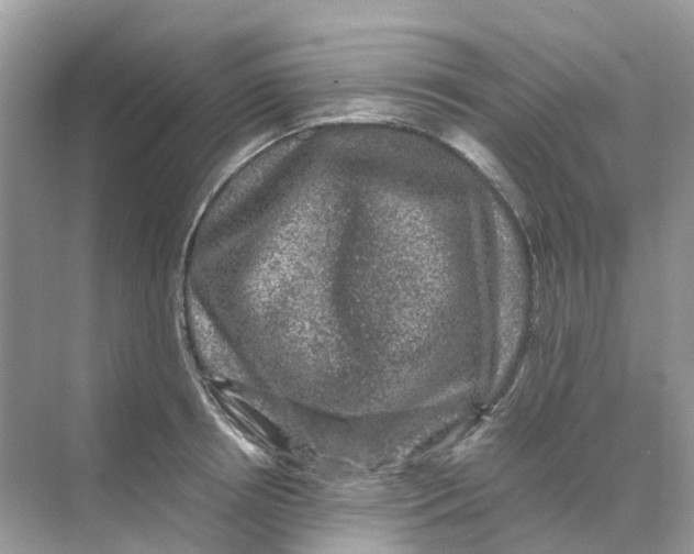 X0000070170850200606162054