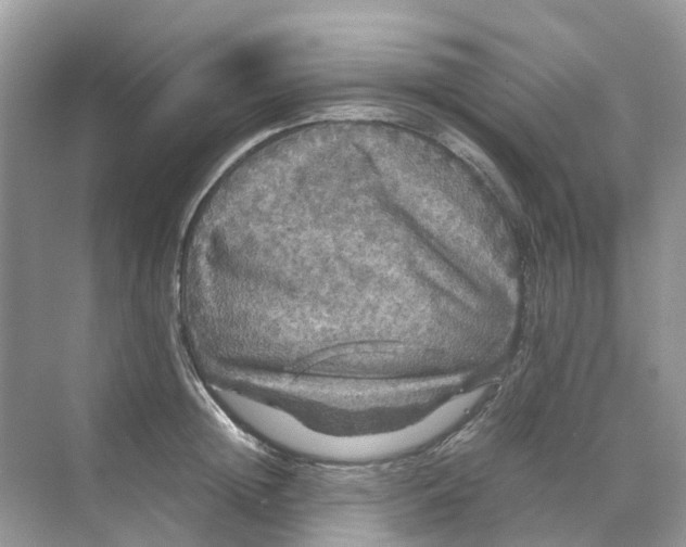 X0000070170852200606162054