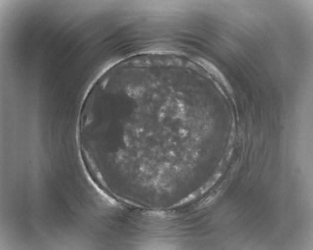 X0000070170855200606162054