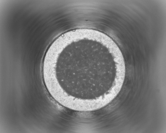 X0000070170856200606162054