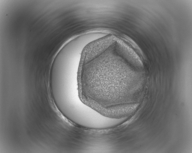 X0000070170860200606162054