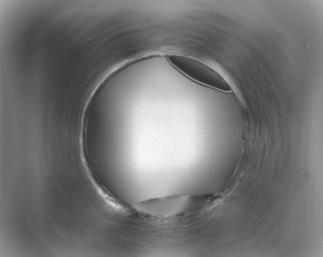 X0000070170861200606162054