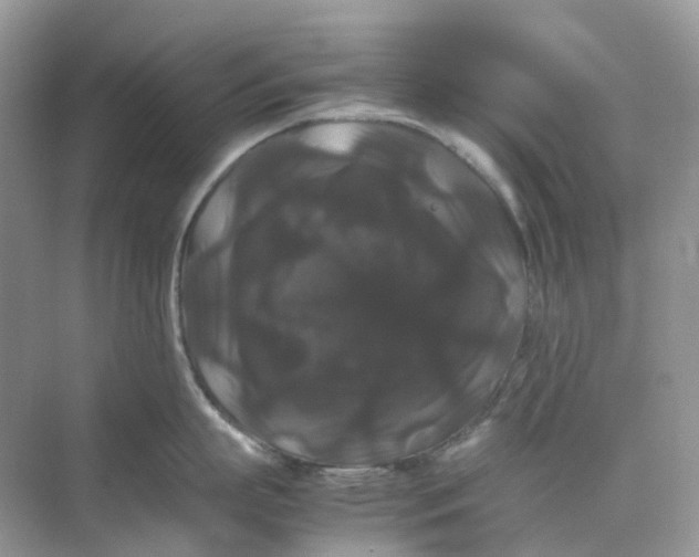 X0000070170863200606162054