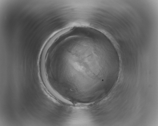 X0000070170864200606162054