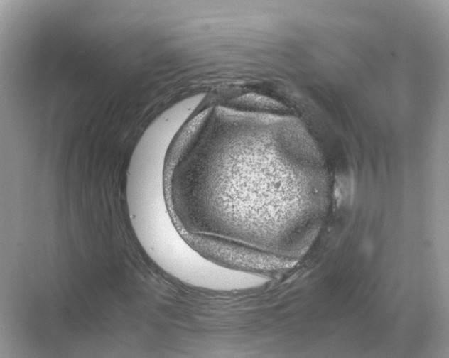 X0000070170867200606162053