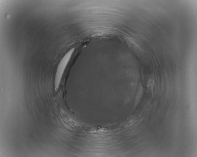 X0000070170868200606162053