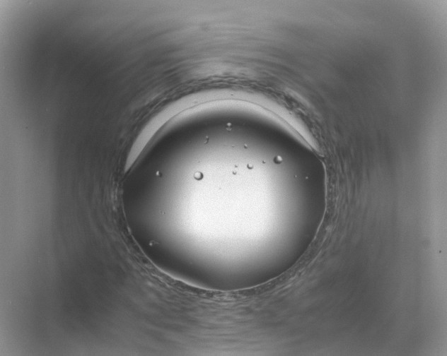 X0000070170869200606162053