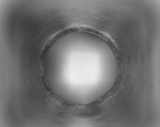 X0000070170871200606162053