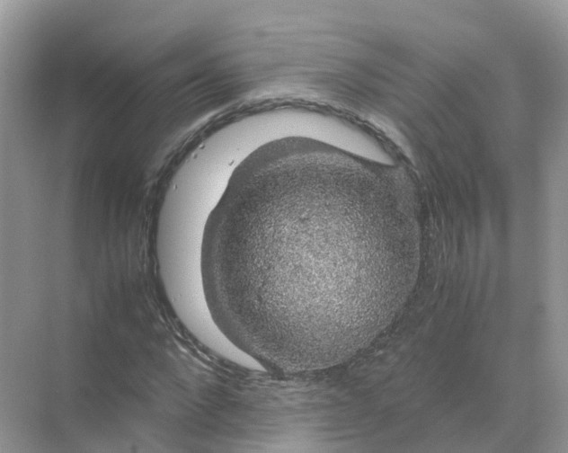 X0000070170872200606162053