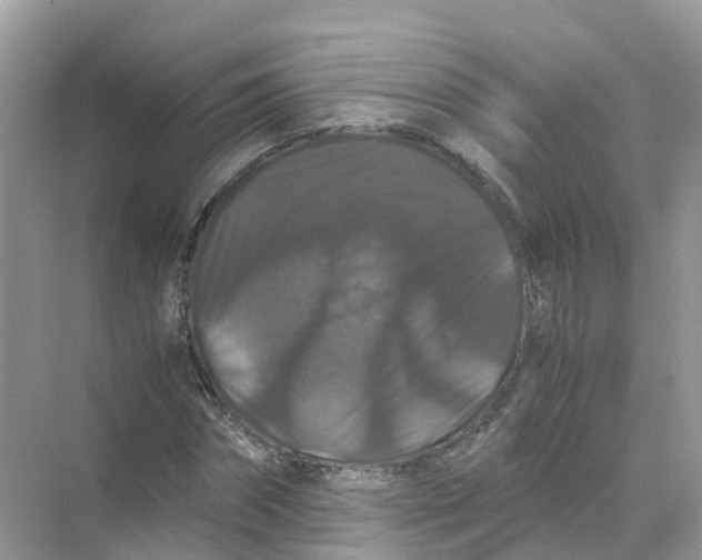 X0000070170874200606162053