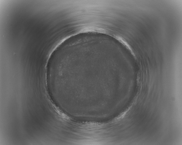 X0000070170877200606162053