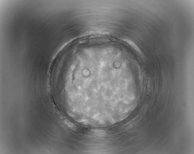 X0000070170878200606162053