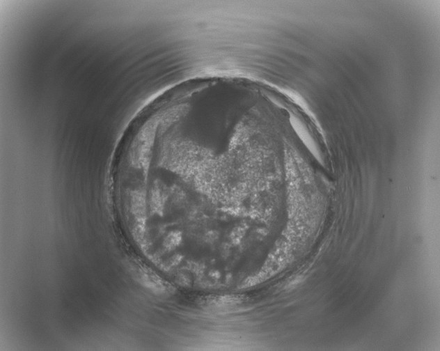 X0000070170879200606162053