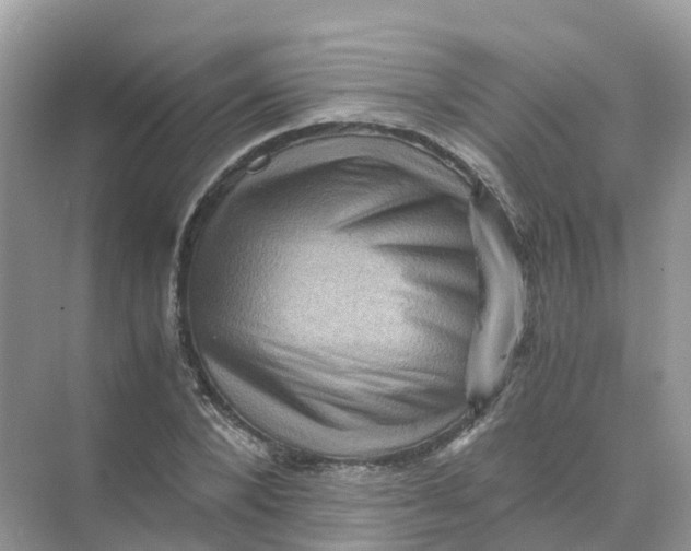 X0000070170880200606162053