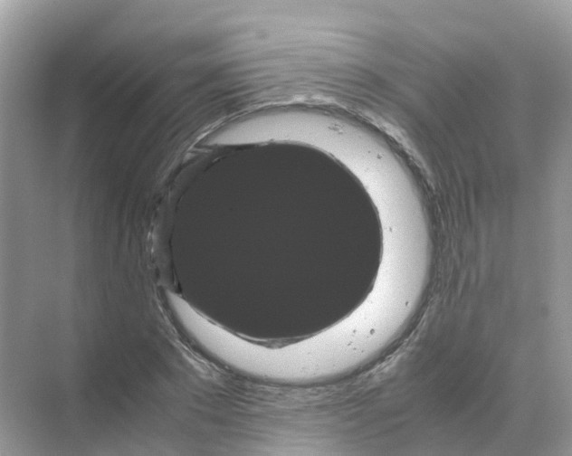 X0000070170881200606162053