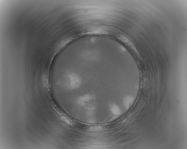 X0000070170882200606162053