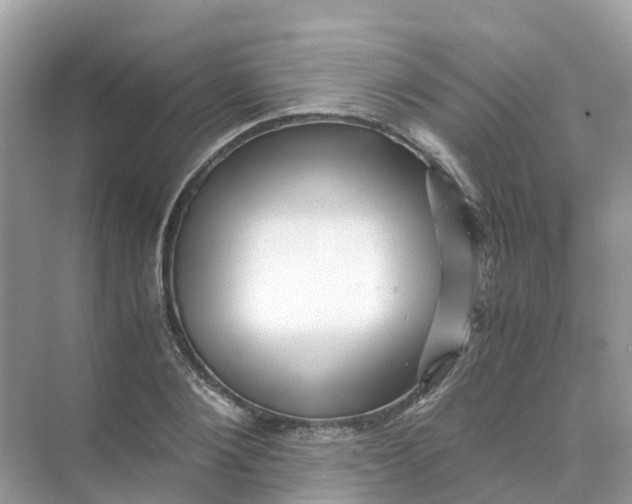 X0000070170884200606162053