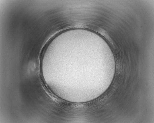 X0000070170886200606162053