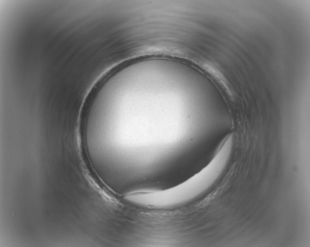 X0000070170888200606162053