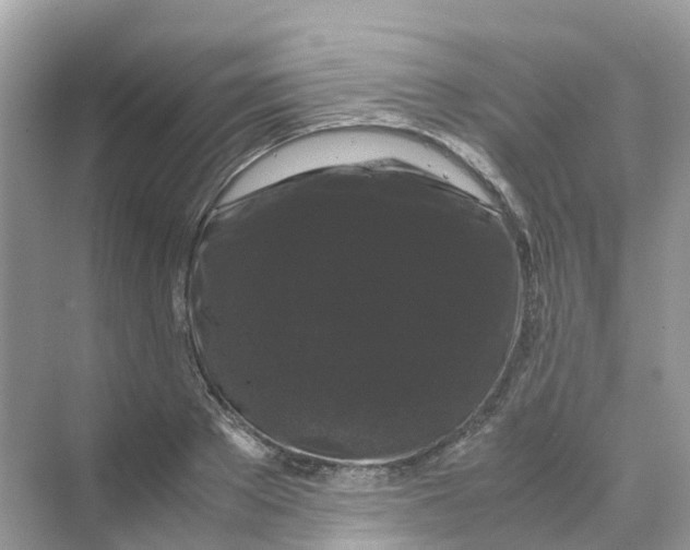 X0000070170889200606162053