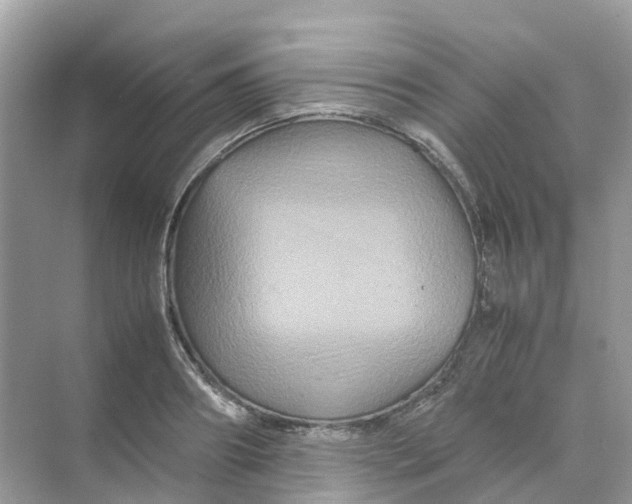 X0000070170890200606162053