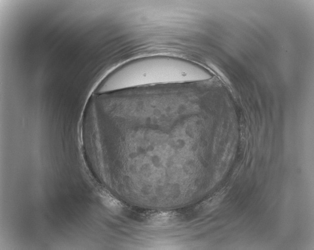 X0000070170891200606162053