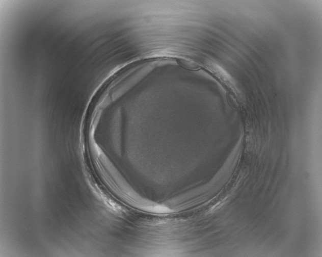 X0000070170892200606162053