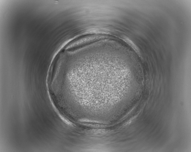 X0000070170893200606162053