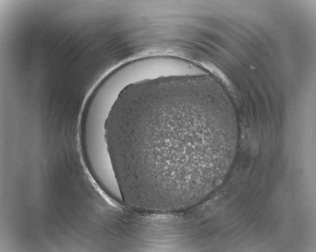 X0000070170894200606162053