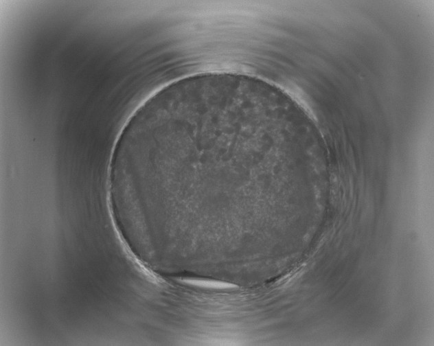 X0000070170895200606162053