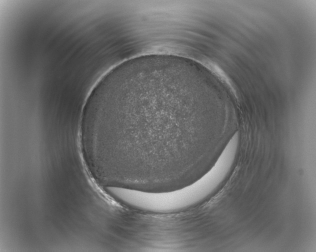 X0000070170896200606162053