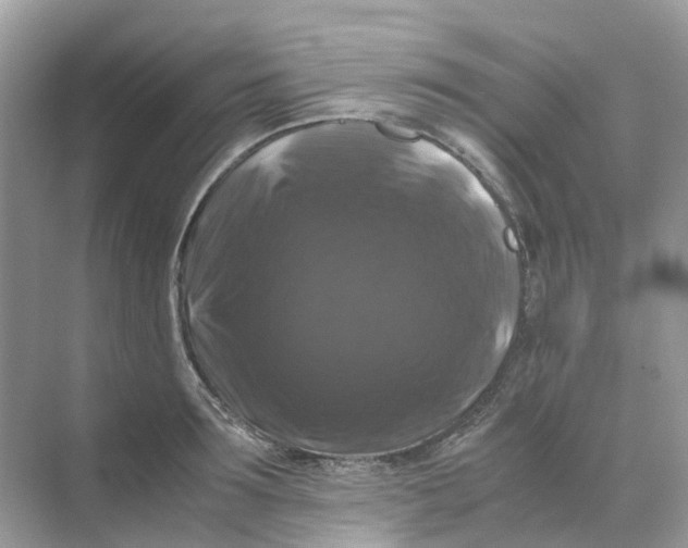 X0000070170899200606162053