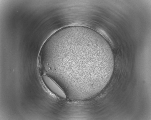 X0000070170900200606162053