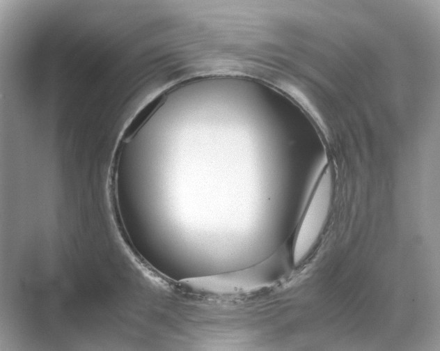 X0000070170901200606162053